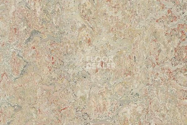 Линолеум Marmoleum Marbled Vivace 3427-342735 agate фото 1 | FLOORDEALER